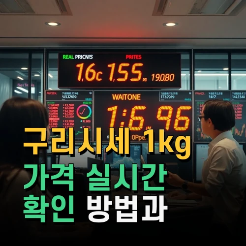 구리시세 1kg 가격 실시간 확인 방법과 투자 활용법 최신 정보